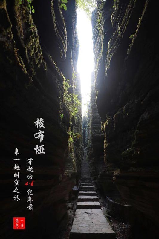 逃离梦想之家