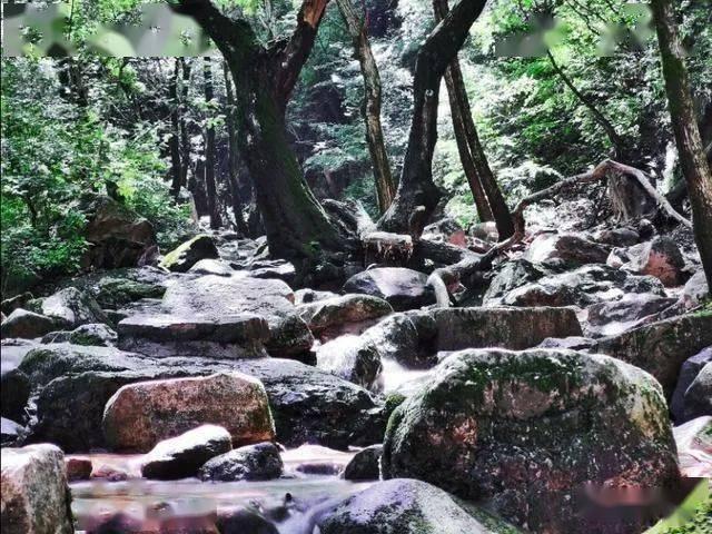 逃离隐秘的洞穴