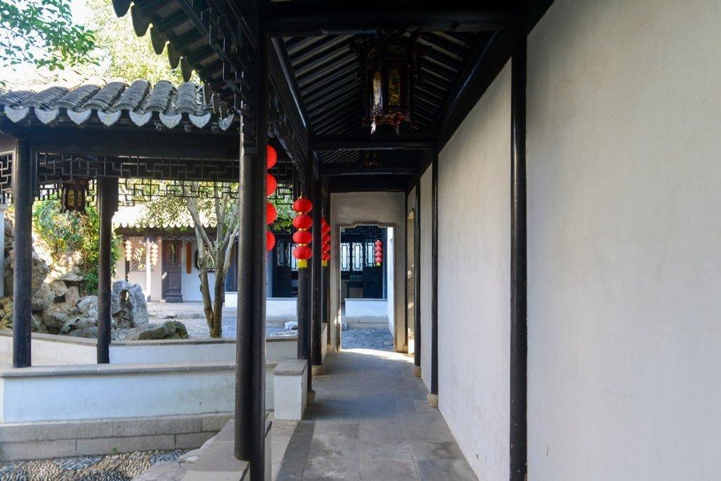 小汪汪